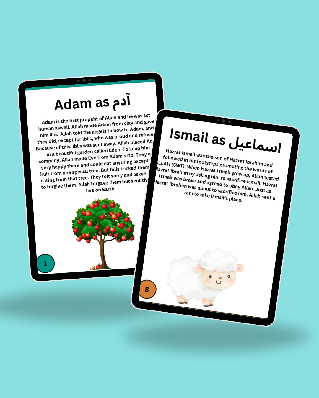 Stories of 25 Prophets – Islamic Flashcards for Kids